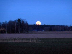 dagens_måne