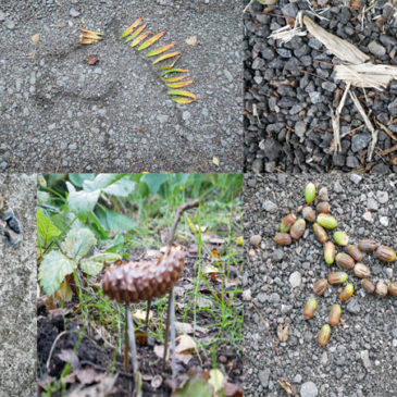 Collage av hästbilder skapade med material från naturen