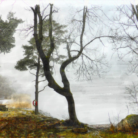 Canvastavla träd vid sjön Roxen